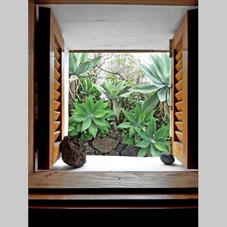 フロンテーラ Casa Agave 1ヴィラ エクステリア 写真