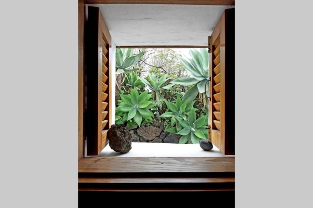 フロンテーラ Casa Agave 1ヴィラ エクステリア 写真