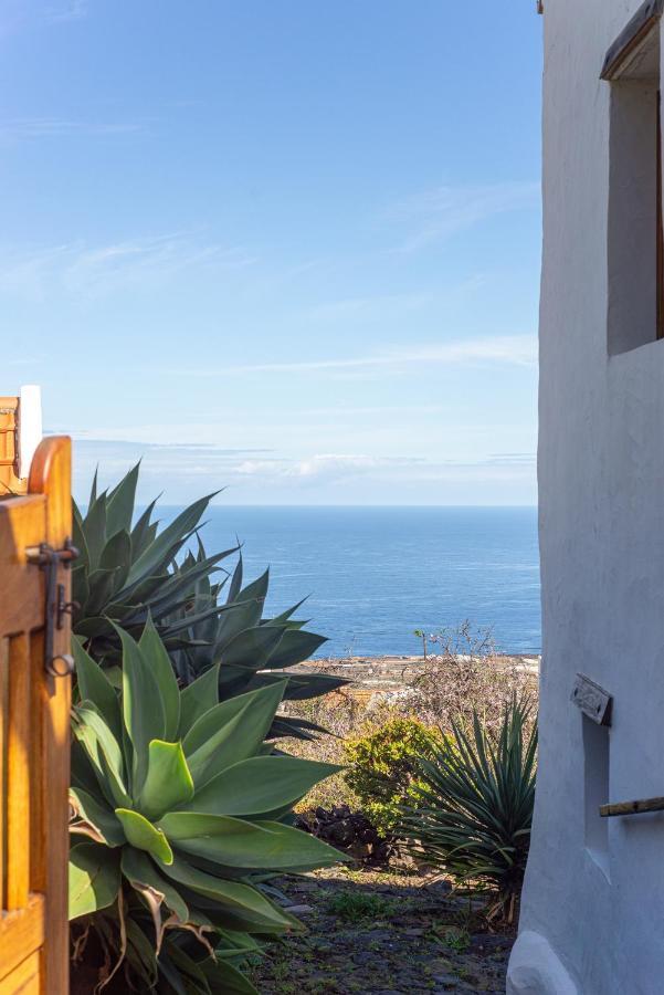 フロンテーラ Casa Agave 1ヴィラ エクステリア 写真